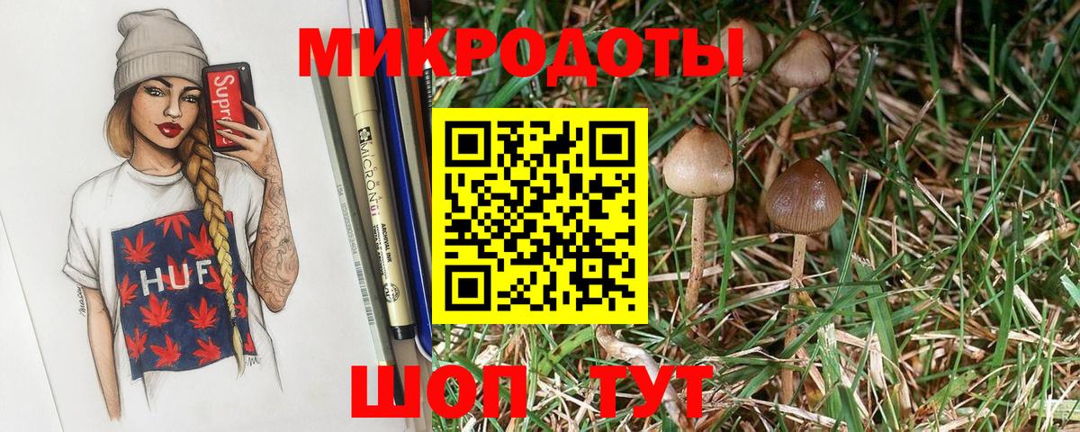 Краснознаменск  Галлюциногенные грибы GOLDEN TEACHER  Вход с VPN 
